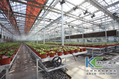 無(wú)土栽培，無(wú)土栽培技術(shù)，無(wú)土栽培設(shè)備