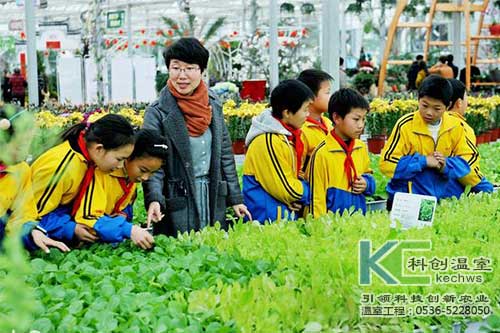 無土栽培，無土栽培技術，無土栽培設備