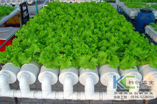 無(wú)土栽培，無(wú)土栽培技術(shù)，無(wú)土栽培設(shè)備