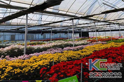 無(wú)土栽培，無(wú)土栽培技術(shù)，無(wú)土栽培設(shè)備