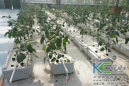 無土栽培，無土栽培技術，無土栽培設備