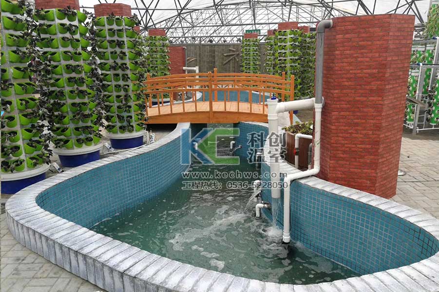 無土栽培,無土栽培技術(shù),無土栽培設(shè)備