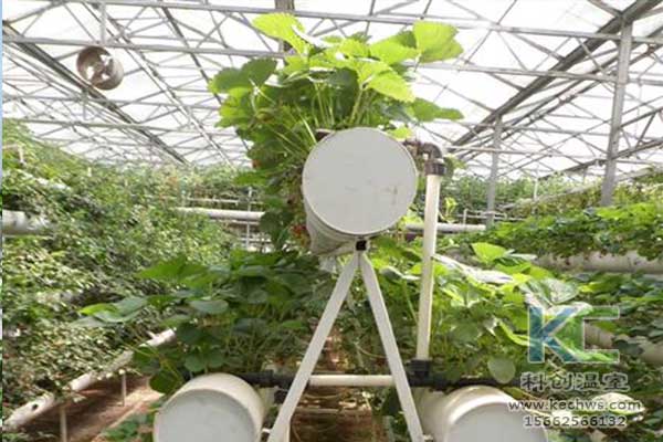 無土栽培,無土栽培技術(shù),無土栽培設備