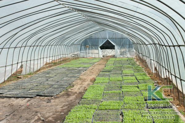 無(wú)土栽培,無(wú)土栽培技術(shù),無(wú)土栽培設(shè)備