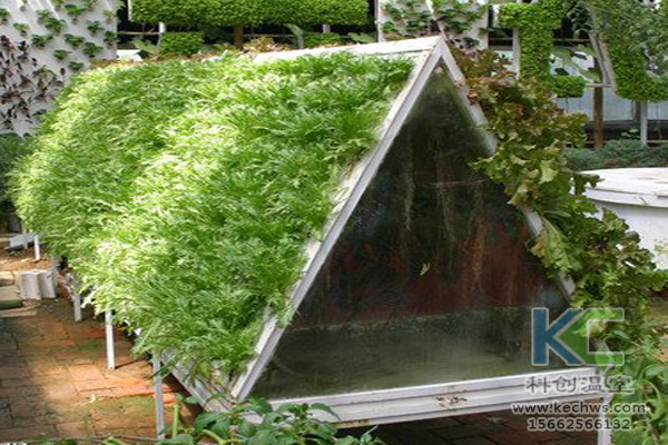 無(wú)土栽培，無(wú)土栽培技術(shù)，無(wú)土栽培設(shè)備