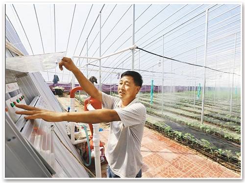 無(wú)土栽培，無(wú)土栽培技術(shù)，無(wú)土栽培設(shè)備