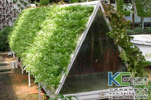 無土栽培，無土栽培技術，無土栽培設備