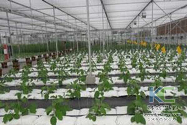 無土栽培，無土栽培技術，無土栽培設備