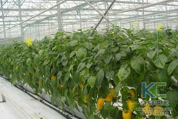 無土栽培，無土栽培技術