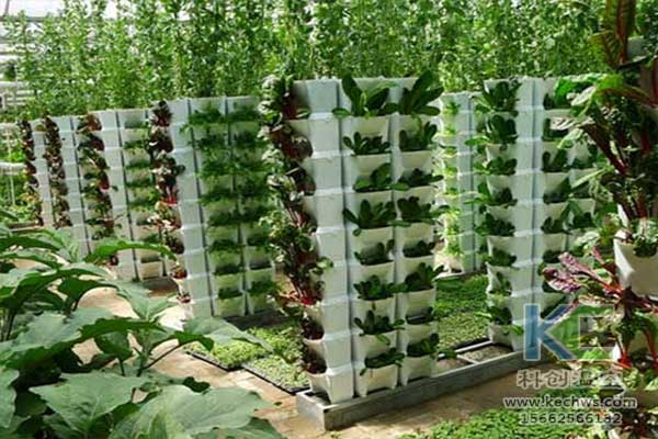 無(wú)土栽培，無(wú)土栽培技術(shù)