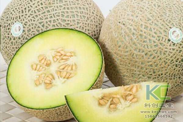 無土栽培，無土栽培技術(shù)，無土栽培設(shè)備