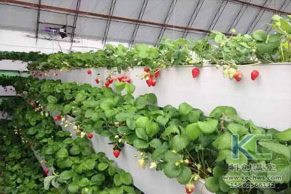 無土栽培，無土栽培技術，無土栽培設備