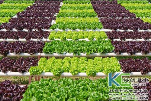 無土栽培，無土栽培技術，無土栽培設備