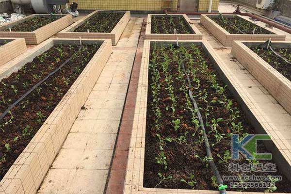 無土栽培，無土栽培技術(shù)，無土栽培設(shè)備