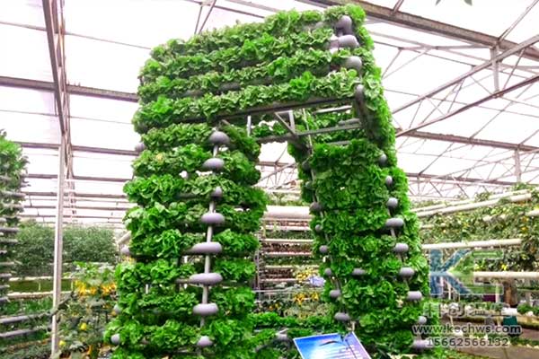 無土栽培，無土栽培技術(shù)，無土栽培設(shè)備