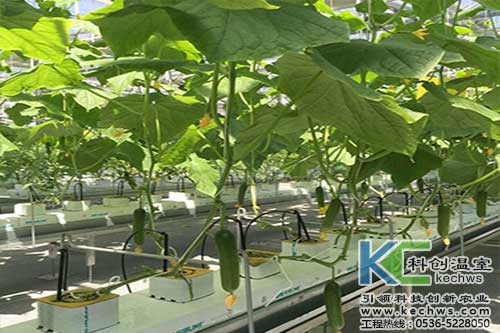無土栽培，無土栽培技術，無土栽培設備