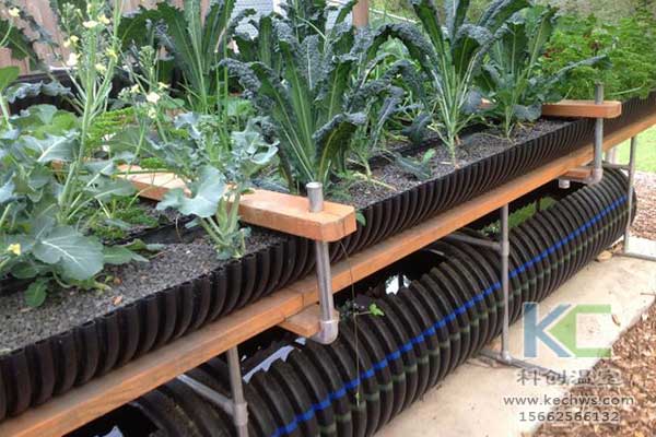 無土栽培，無土栽培技術