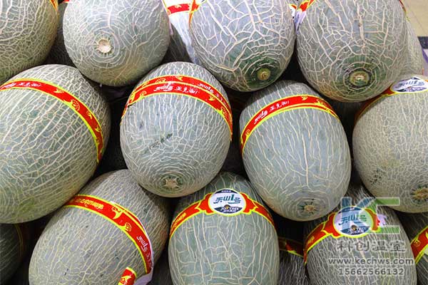 無(wú)土栽培，無(wú)土栽培技術(shù)，無(wú)土栽培設(shè)備