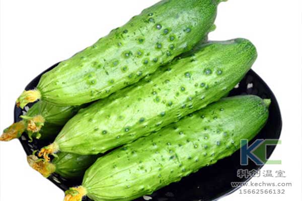 無土栽培，無土栽培技術，無土栽培設備