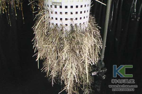 無土栽培，無土栽培技術