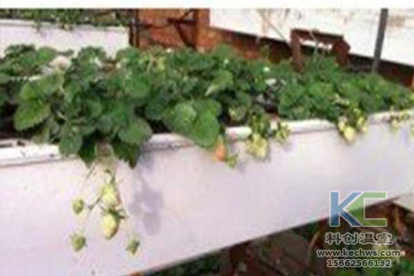 無(wú)土栽培，無(wú)土栽培技術(shù)，無(wú)土栽培設(shè)備