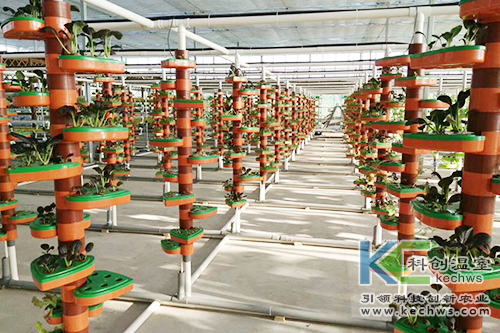 無土栽培,基質栽培,水培