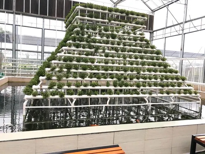 無土栽培，無土栽培技術，無土栽培設備