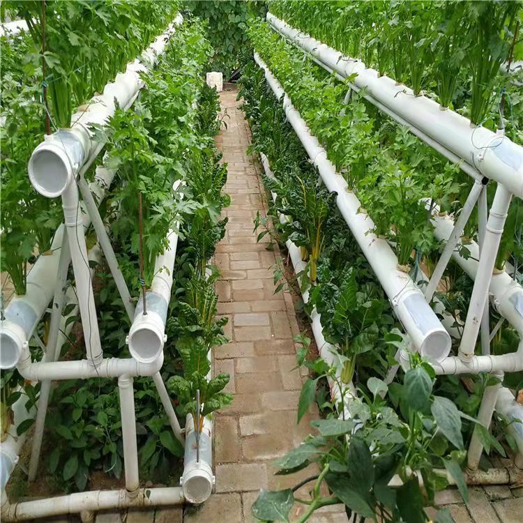 無土栽培，無土栽培技術，無土栽培設備