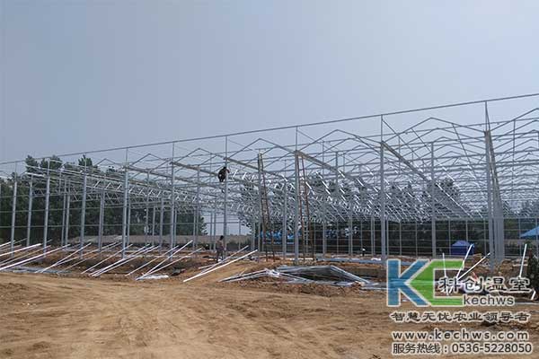 無土栽培，無土栽培技術(shù)，無土栽培設(shè)備