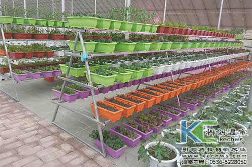 無土栽培，無土栽培技術，無土栽培設備