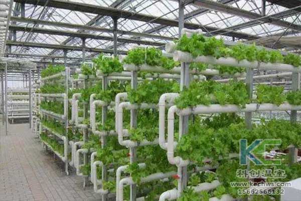 無土栽培，無土栽培技術，無土栽培設備