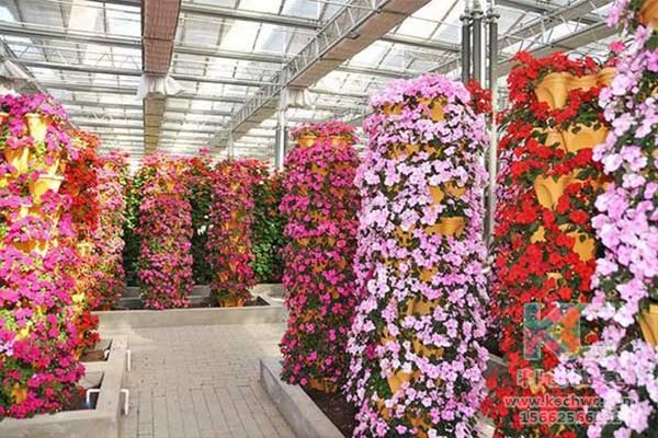 無(wú)土栽培，無(wú)土栽培技術(shù)，無(wú)土栽培設(shè)備