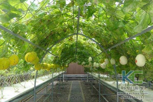 無土栽培，無土栽培技術，無土栽培設備