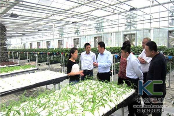 無(wú)土栽培，無(wú)土栽培技術(shù)，無(wú)土栽培設(shè)備