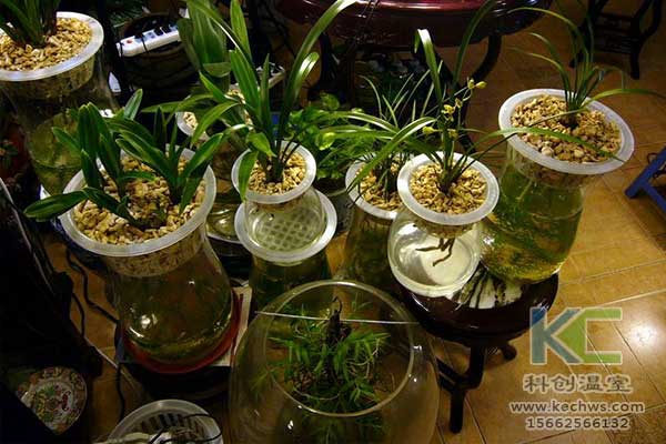 無(wú)土栽培，無(wú)土栽培技術(shù)，無(wú)土栽培設(shè)備