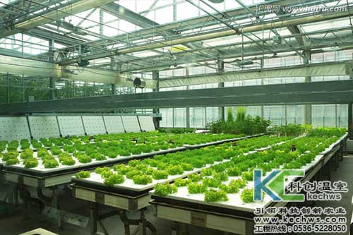 無土栽培，無土栽培技術，無土栽培設備