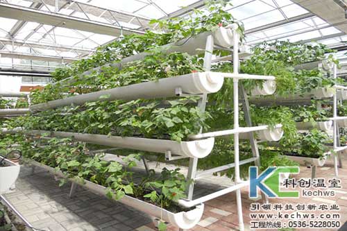 無土栽培,無土栽培技術,無土栽培設備