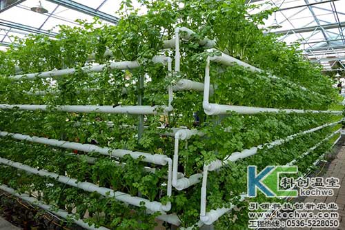 無土栽培，無土栽培技術(shù)，無土栽培設(shè)備