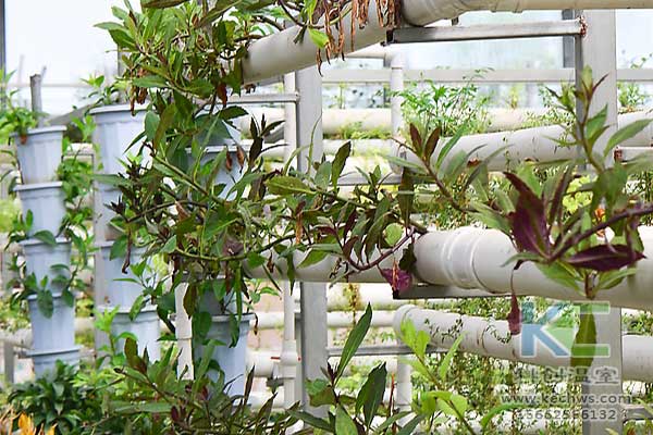 無土栽培，無土栽培技術，無土栽培設備