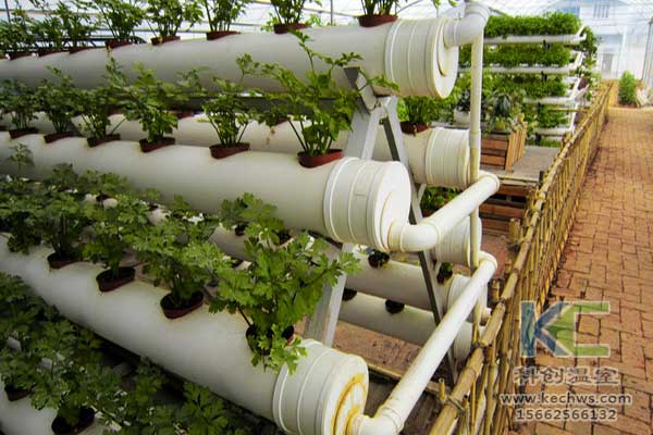 無土栽培，無土栽培技術(shù)，無土栽培設(shè)備
