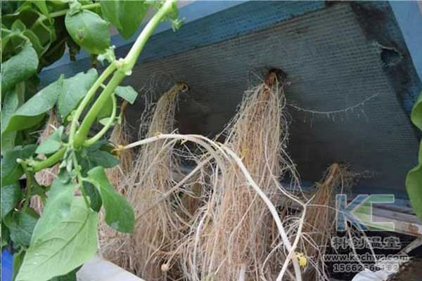 無土栽培，無土栽培技術，無土栽培設備