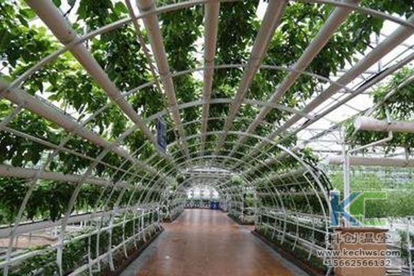 無土栽培，無土栽培技術，無土栽培設備