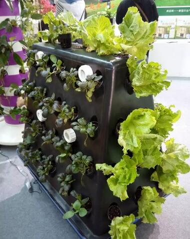 無土栽培，無土栽培技術(shù)，無土栽培設(shè)備