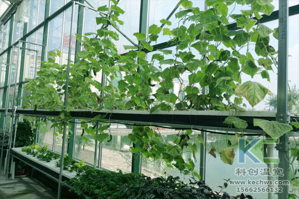 無土栽培，無土栽培技術，無土栽培設備