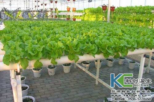 無土栽培，無土栽培技術，無土栽培設備