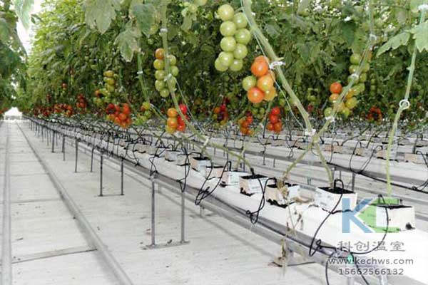 無土栽培，無土栽培技術(shù)，無土栽培設(shè)備