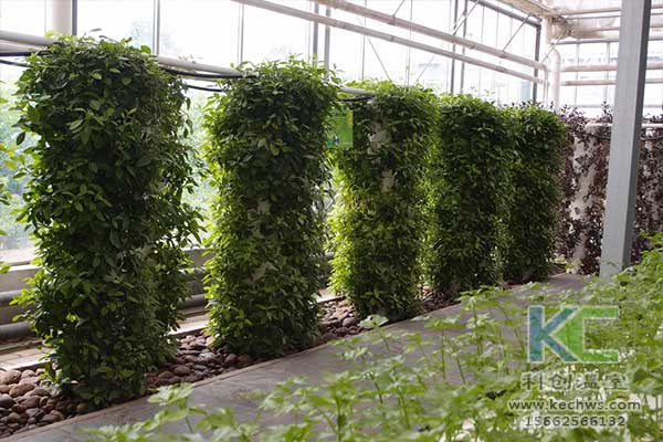 無土栽培，無土栽培技術(shù)，無土栽培設(shè)備