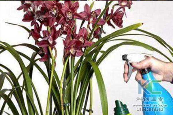 無(wú)土栽培，無(wú)土栽培技術(shù)，無(wú)土栽培設(shè)備