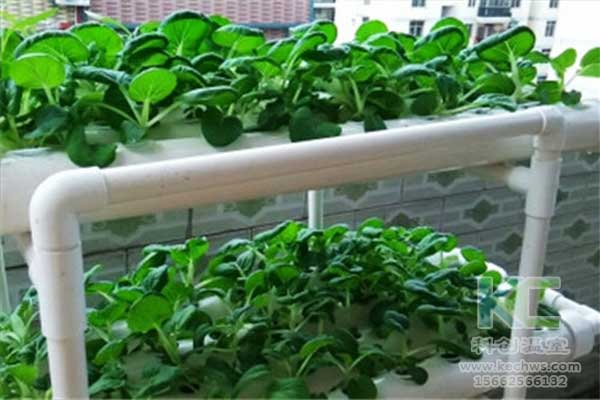 無土栽培，無土栽培技術，無土栽培設備