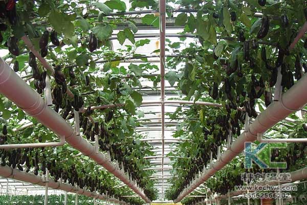 無土栽培，無土栽培技術，無土栽培設備